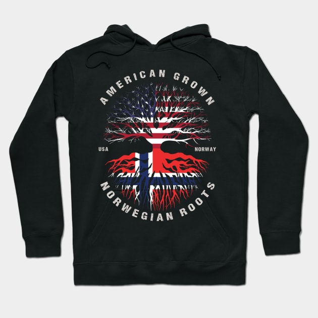 American Grown Norwegian Roots Norway Flag Hoodie by heart teeshirt